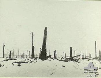 Deville Wood France WWI